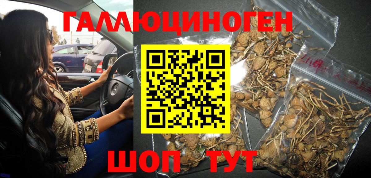 купить   Псилоцибиновые грибы Psilocybe  Вход с VPN  Галлюциногенные грибы ЛСД  Ленинск-Кузнецкий 
