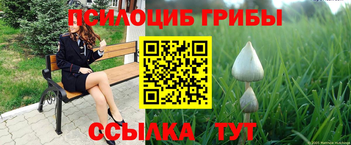Галлюциногенные грибы GOLDEN TEACHER Ленинск-Кузнецкий